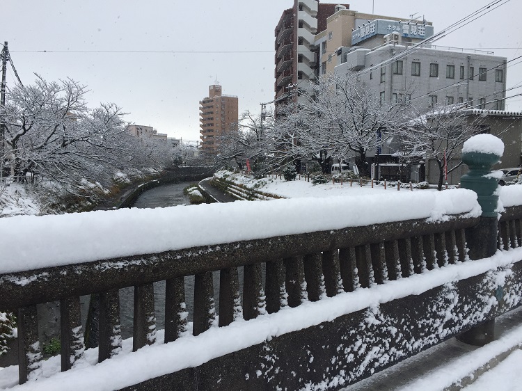 富山の雪景色2017